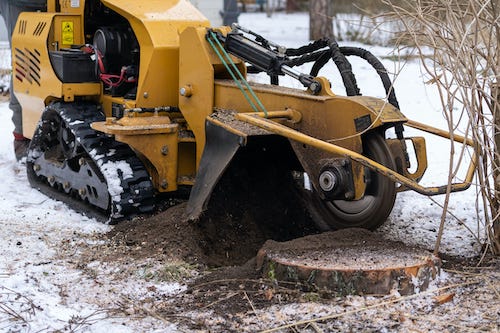 stump removal service in Mankato